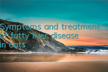 TSymptoms and treatment of fatty liver disease in cats