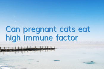 Can pregnant cats eat high immune factor?