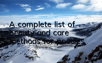 A complete list of beauty and care methods for poodles