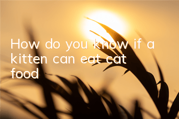 How do you know if a kitten can eat cat food?