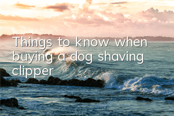 Things to know when buying a dog shaving clipper