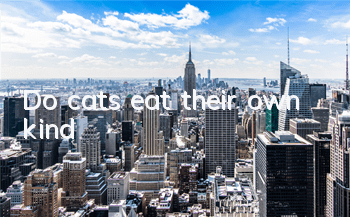 Do cats eat their own kind?