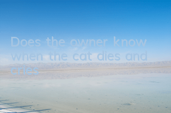 Does the owner know when the cat dies and cries?