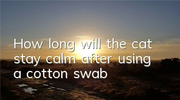 How long will the cat stay calm after using a cotton swab?