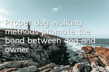 Proper dog walking methods promote the bond between dog and owner