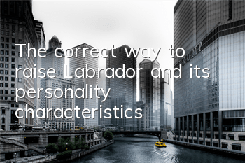 The correct way to raise Labrador and its personality characteristics