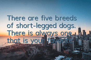 There are five breeds of short-legged dogs. There is always one that is your favorite.