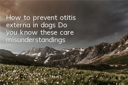 How to prevent otitis externa in dogs? Do you know these care misunderstandings?