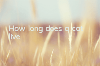 How long does a cat live?