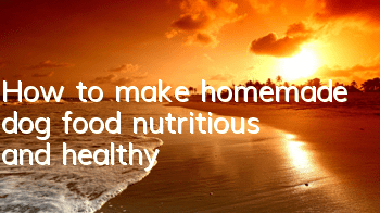 How to make homemade dog food, nutritious and healthy