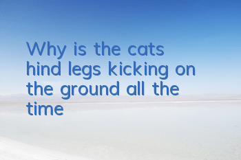Why is the cat's hind legs kicking on the ground all the time?