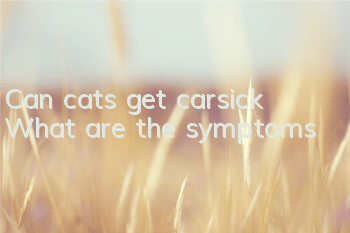 Can cats get carsick? What are the symptoms?