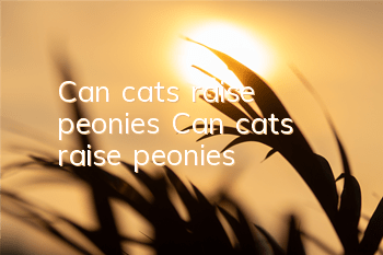 Can cats raise peonies? Can cats raise peonies?
