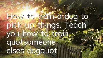 How to train a dog to pick up things. Teach you how to train "someone else's dog"