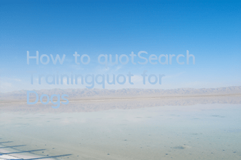 How to "Search Training" for Dogs