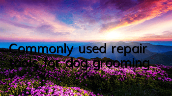 Commonly used repair tools for dog grooming
