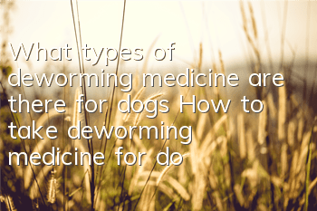 What types of deworming medicine are there for dogs? How to take deworming medicine for dogs?