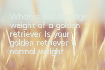 What is the average weight of a golden retriever? Is your golden retriever a normal weight?