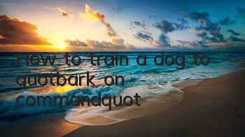 How to train a dog to "bark on command"
