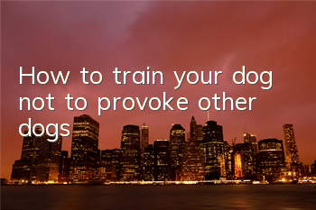 How to train your dog not to provoke other dogs