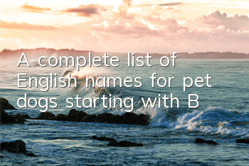 A complete list of English names for pet dogs starting with B