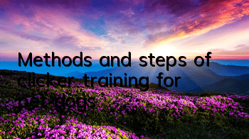 Methods and steps of clicker training for pet dogs