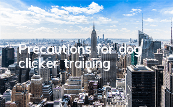 Precautions for dog clicker training