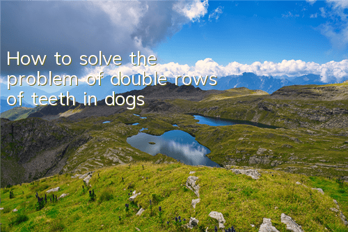THow to solve the problem of double rows of teeth in dogs