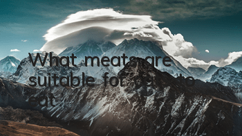 What meats are suitable for cats to eat?