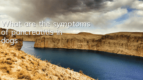 TWhat are the symptoms of pancreatitis in dogs?