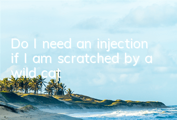 Do I need an injection if I am scratched by a wild cat?