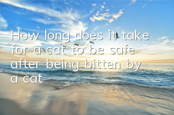 How long does it take for a cat to be safe after being bitten by a cat?