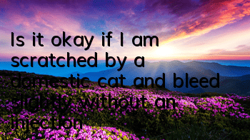 Is it okay if I am scratched by a domestic cat and bleed slightly without an injection?