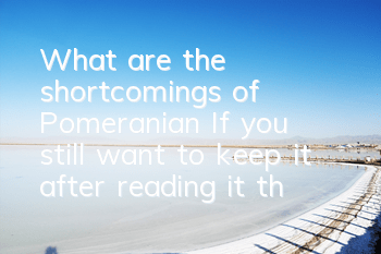 What are the shortcomings of Pomeranian? If you still want to keep it after reading it, then that’s true love.
