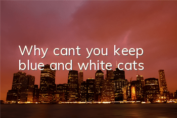 Why can’t you keep blue and white cats?