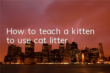 How to teach a kitten to use cat litter?