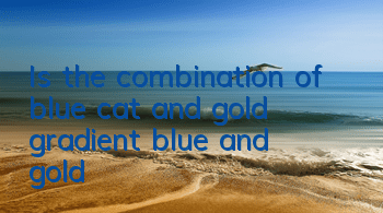Is the combination of blue cat and gold gradient blue and gold?