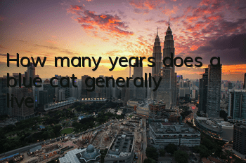 How many years does a blue cat generally live?