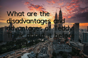What are the disadvantages and advantages of Teddy? Think about it before raising it.