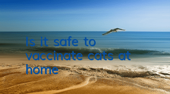 Is it safe to vaccinate cats at home?