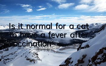 TIs it normal for a cat to have a fever after vaccination?