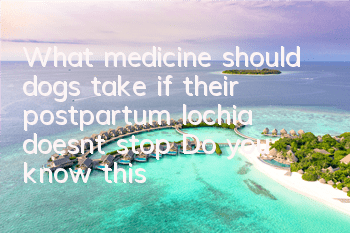 What medicine should dogs take if their postpartum lochia doesn’t stop? Do you know this about dogs’ postpartum lochia?