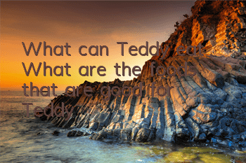 What can Teddy eat? What are the foods that are good for Teddy?