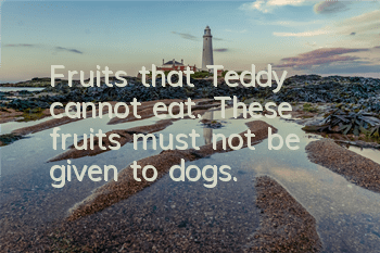 Fruits that Teddy cannot eat. These fruits must not be given to dogs.