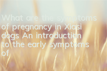 What are the symptoms of pregnancy in Xiasi dogs? An introduction to the early symptoms of pregnancy in Xiasi dogs