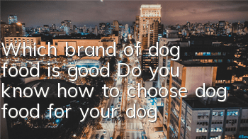 Which brand of dog food is good? Do you know how to choose dog food for your dog?