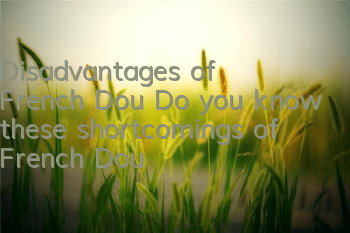 Disadvantages of French Dou Do you know these shortcomings of French Dou?