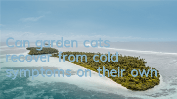 Can garden cats recover from cold symptoms on their own?
