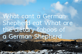 What can’t a German Shepherd eat? What are the dietary taboos of a German Shepherd?