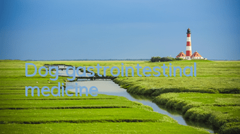 TDog gastrointestinal medicine